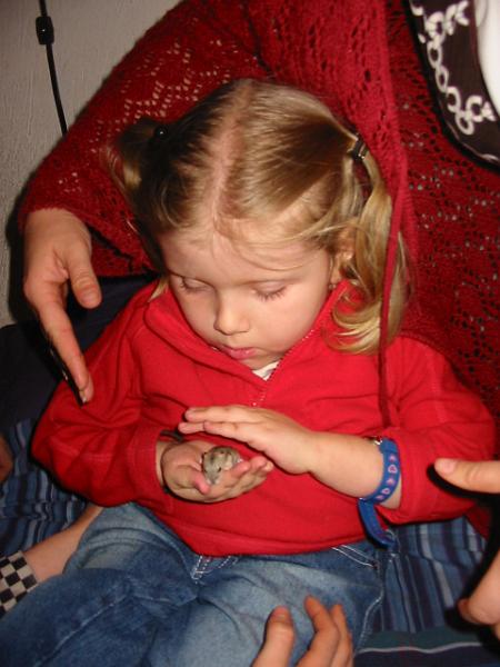 6-15.JPG - Petting the baby hamster.